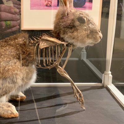 Profile Picture of Brett Knowles (@BrettKnowles8) on Twitter