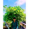 Profile Picture of Syed Reza (@tanvirreza0117) on Tiktok