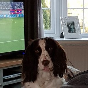 Profile Picture of Marcuspurdy1000@gmail.com (@marcuspurdy1000) on Twitter