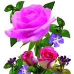 Profile Picture of rowena.miranda.545 (@rowena.miranda.545) on Instagram