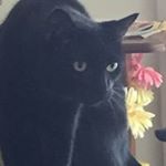 Profile Picture of Amy Laber-Brinkler (@amylaberbrinkley) on Instagram