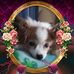 Profile Picture of Marlene Campbell (@marlene.campbell.7169709) on Facebook