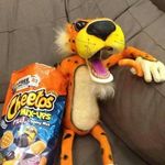 Profile Picture of Daniel G. Carey (@carey2310) on Instagram