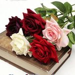 Profile Picture of Samina Makda Rangwala (@samina_makda_rangwala) on Instagram