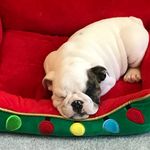 Profile Picture of Scott Wasson (@wasson_scott) on Instagram