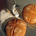 Profile Picture of Josefa Fernández Pacheco Caba (@fernandezpachecocaba) on Instagram