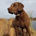 Profile Picture of christopher endicott (@cendicott9) on Pinterest