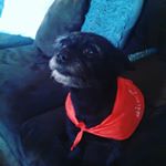 Profile Picture of kim (@kimschock1518) on Instagram