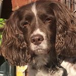 Profile Picture of Herbert Osborne (@herbert_osborne) on Instagram