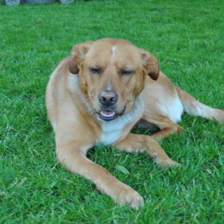 Profile Picture of Patrick Sartor (@patrick.sartor.92) on Facebook