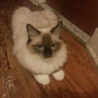 Profile Picture of Michael Merles (@michael-merles-1) on Quora
