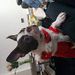 Profile Picture of Sean Mcglade (@seanmcglade21) on Pinterest