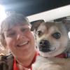 Profile Picture of Tonya Henning (@@tonyahenning2) on Tiktok