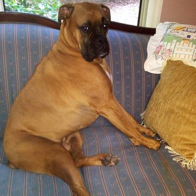 Profile Picture of Mary Margaret Cain (@GMAofGA) on Twitter