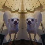 Profile Picture of David Offill (@David-Offill) on Facebook