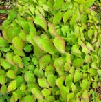 Profile Picture of Joseph Plummer (@joseph.plummer.579999) on Facebook