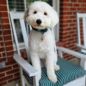 Profile Picture of Lisa Curry (@HollywoodSwing) on Youtube