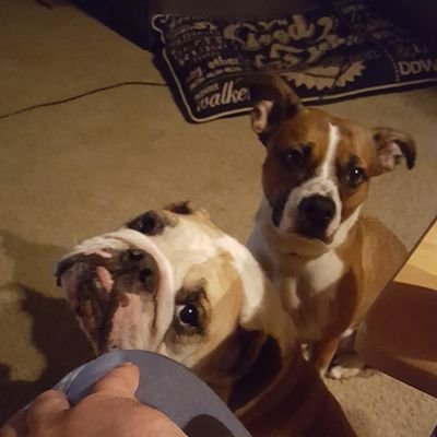 Profile Picture of Mike Sadowski (@MikeSadowski30) on Twitter