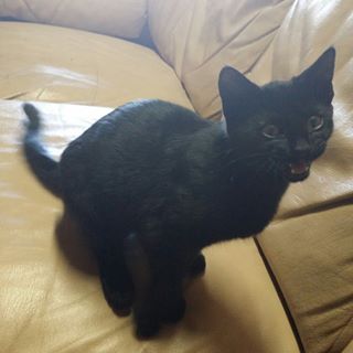 Luke Olivier - Facebook Profile Picture of Luke Olivier (@Luke-Olivier) on Facebook