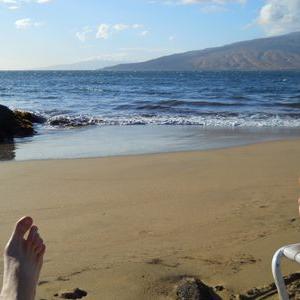 Profile Picture of Stephen E. Dickmann (@StephenDickmann) on Twitter