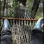 Profile Picture of Tim Eason (@timmyeson) on Instagram