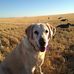 Profile Picture of John Zwack (@john.zwack.376) on Facebook