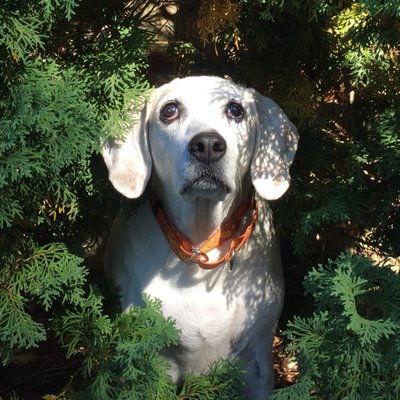 Profile Picture of Janet Hurwitz (@hur143) on Twitter