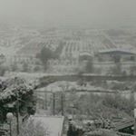 Profile Picture of Youssef Raouf (@raouf.youssef) on Instagram