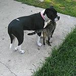 Profile Picture of Beverly Hines (@beverlyhines6925) on Instagram