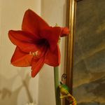 Profile Picture of Michael Eschweler (@geilerbanni) on Instagram