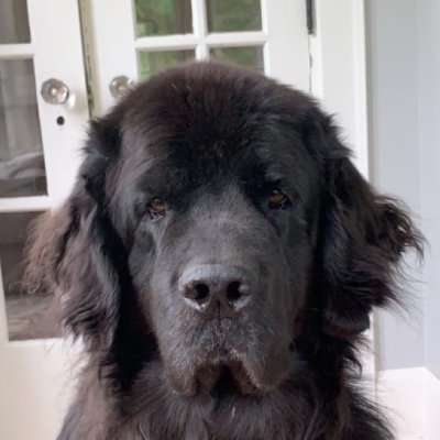 Profile Picture of Ian (@IanMetcalfe30) on Twitter