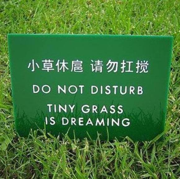 Profile Picture of Ruthann Parrilla (@rpuatr) on Poshmark