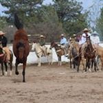 Profile Picture of Fernando Gurrola (@fernando.gurrola.52) on Instagram