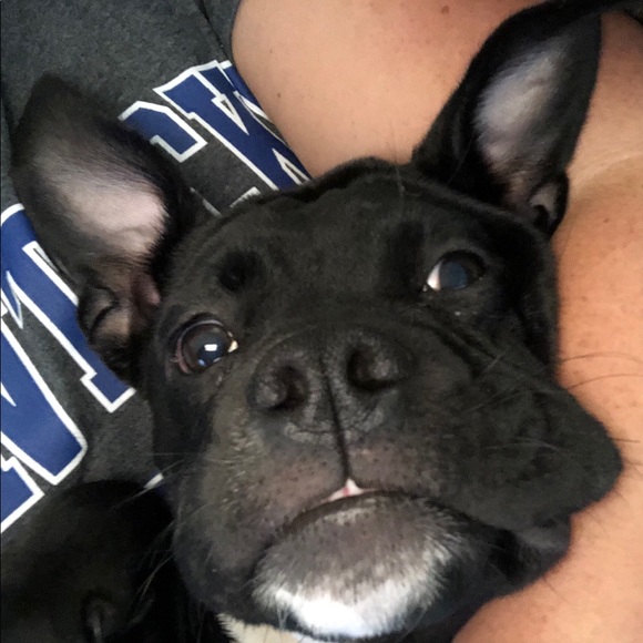 Profile Picture of Brady Charles (@bradycharles) on Poshmark