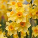 Profile Picture of Joan Keller (@joankellergrandma) on Instagram