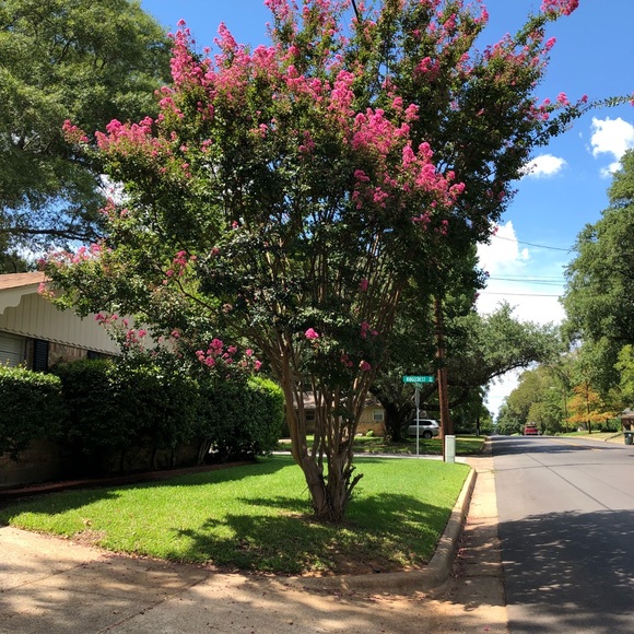 Profile Picture of Marcus Bell (@nike31144) on Poshmark