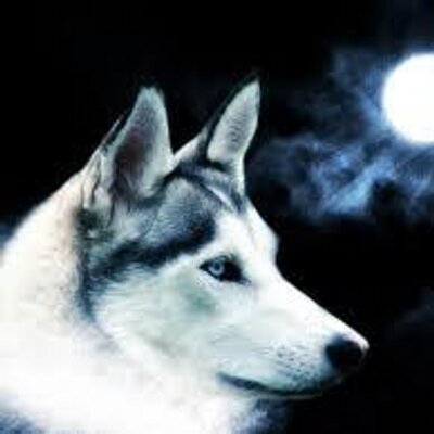 Profile Picture of Sebastian Medrano (@sebastianmedra8) on Twitter