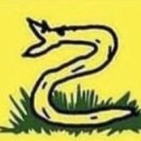 Profile Picture of Nathan Boykin (@NathanBoykin7) on Twitter