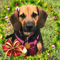 Profile Picture of Robert Blasko (@robertblasko) on Tiktok