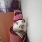 Profile Picture of Kafiye Cetin (@Kafiye-Cetin) on Facebook