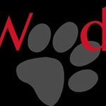 Profile Picture of Steven Frank (@woodside_middleschool) on Instagram