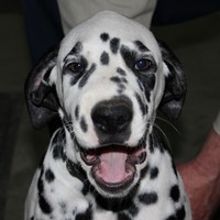 Profile Picture of Betsy Craven (@betsy-craven) on Quora