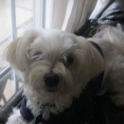 Profile Picture of Shannon Donovan (@donovansr73) on Twitter