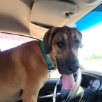 Profile Picture of Glenn Zeller (@glenn.zeller.16) on Facebook