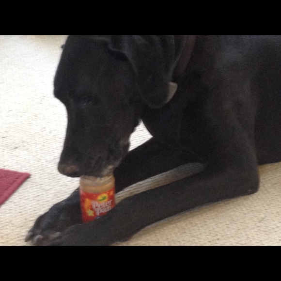 Melissa Markham - Poshmark Profile Picture of Melissa Markham (@myliciamarkham) on Poshmark