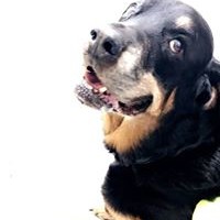 Profile Picture of Makayla Nadeau (@makayla-nadeau) on Quora