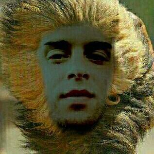 Profile Picture of Michael B. Cizmar (@TRTossTheDognl) on Twitter