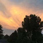 Profile Picture of Sunny Taylor (@sunnyy.taylor) on Instagram