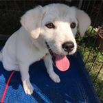 Profile Picture of Tung (@bruce.tung) on Instagram