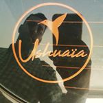 Profile Picture of javier (@javier_pandolfi_83) on Instagram